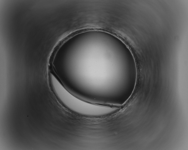 X0000092041168200710031019