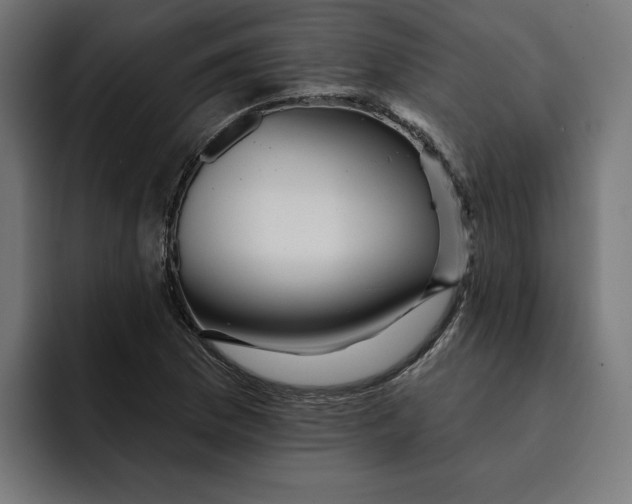 X0000092041169200710031019