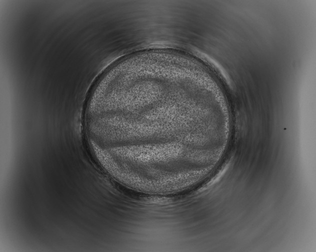 X0000092041170200710031019