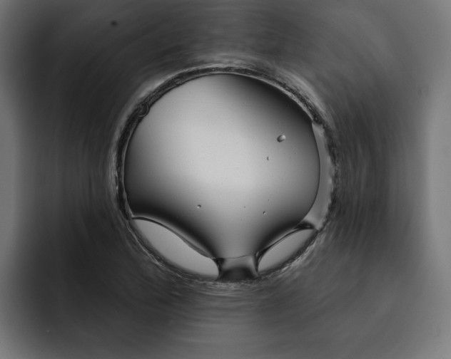 X0000092041172200710031019