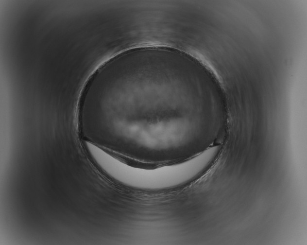 X0000092041173200710031019