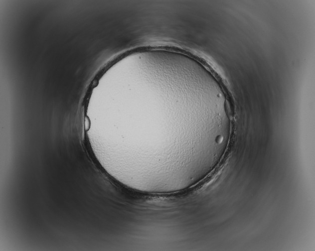 X0000092041175200710031019