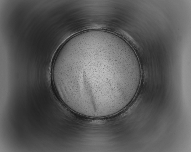 X0000092041178200710031019