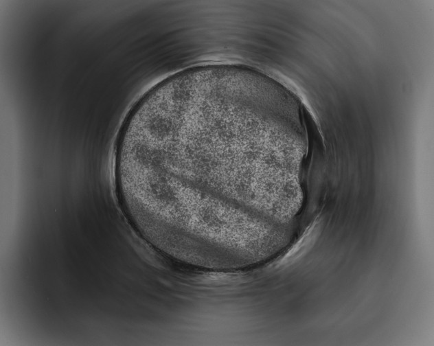 X0000092041179200710031019