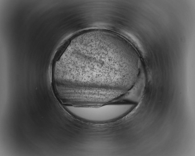 X0000092041180200710031019