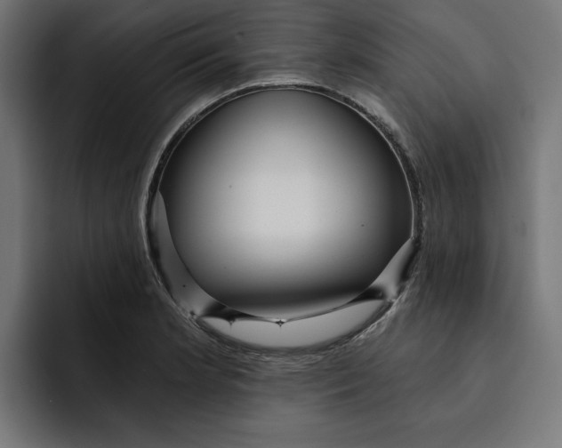 X0000092041181200710031019