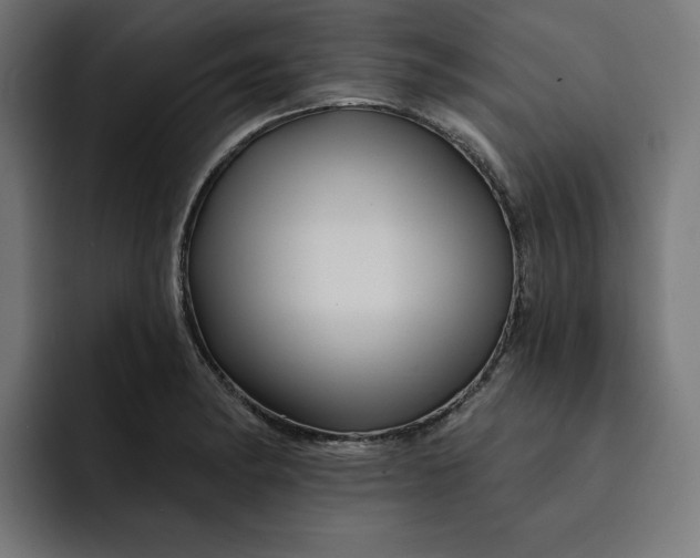 X0000092041182200710031019