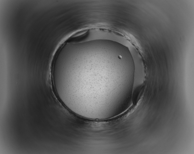 X0000092041184200710031019