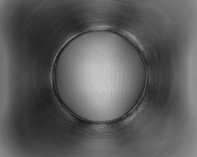 X0000092041186200710031019