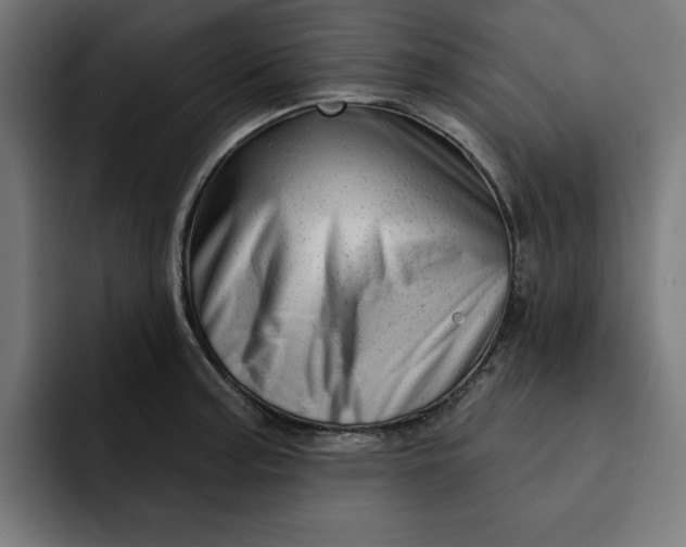 X0000092041187200710031019