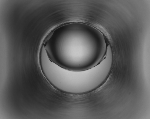 X0000092041188200710031019