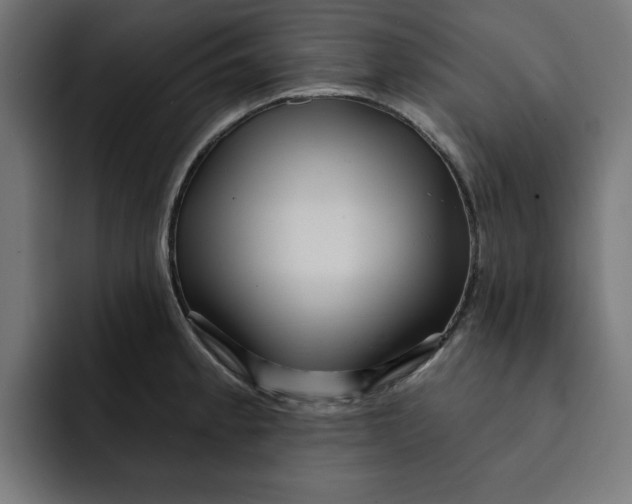 X0000092041189200710031019