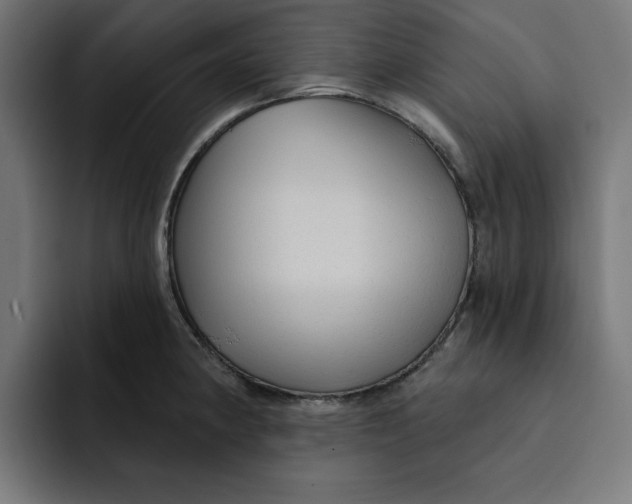 X0000092041190200710031019