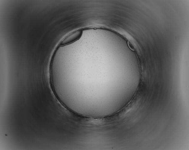 X0000092041191200710031019