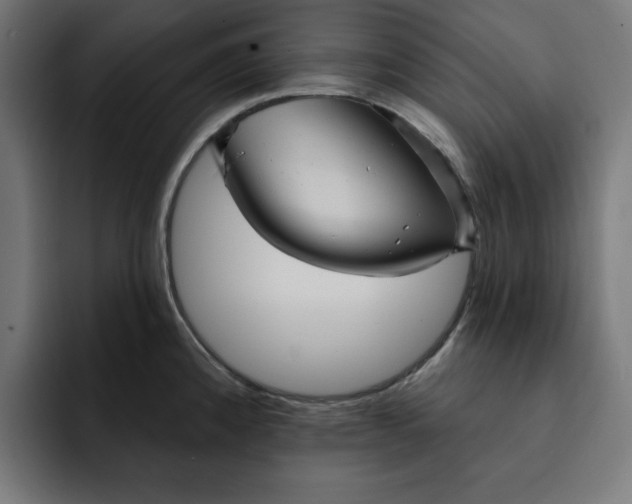 X0000092041192200710031019