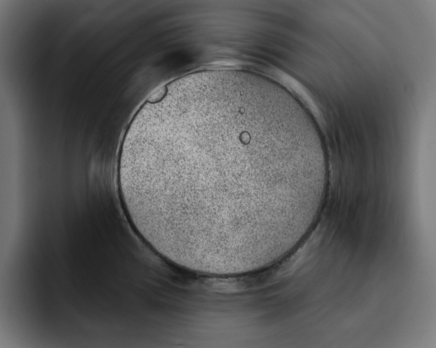 X0000092041194200710031019