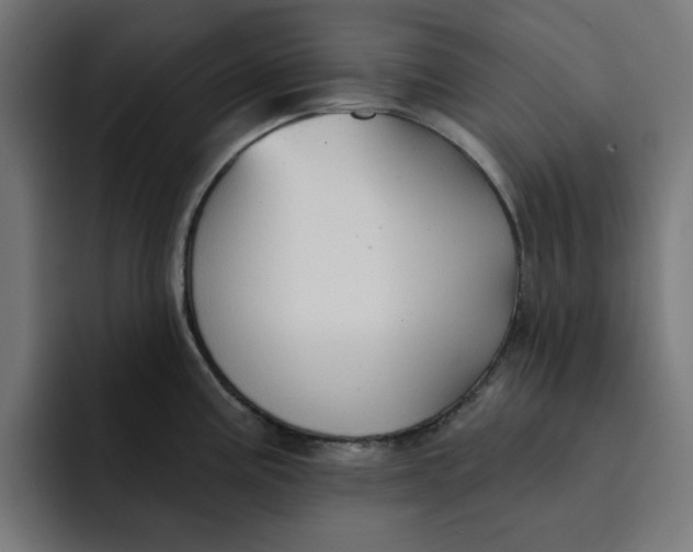 X0000092041195200710031019