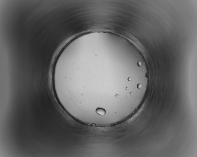 X0000092041196200710031019