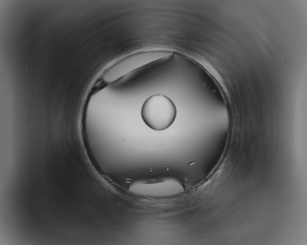 X0000092041197200710031019