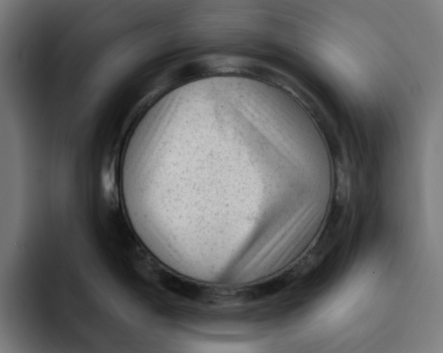 X0000092041198200710031019