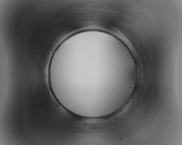 X0000092041199200710031019