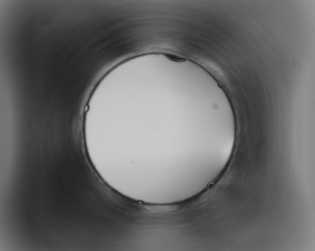 X0000092041200200710031019