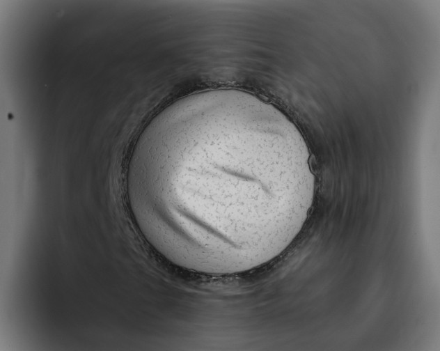 X0000092041201200710031018