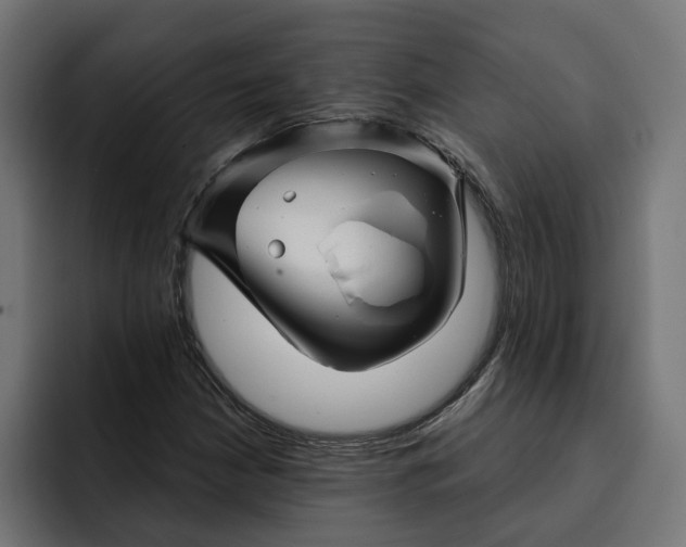 X0000092041210200710031018