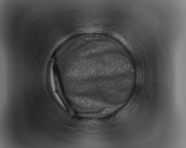 X0000092041213200710031018