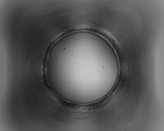 X0000092041217200710031018