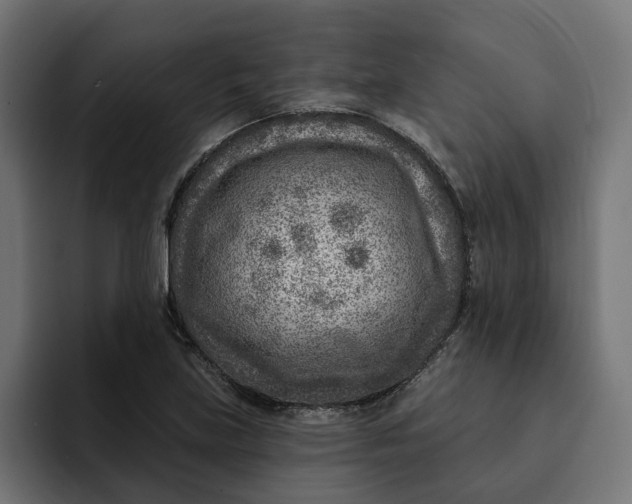 X0000092041219200710031018