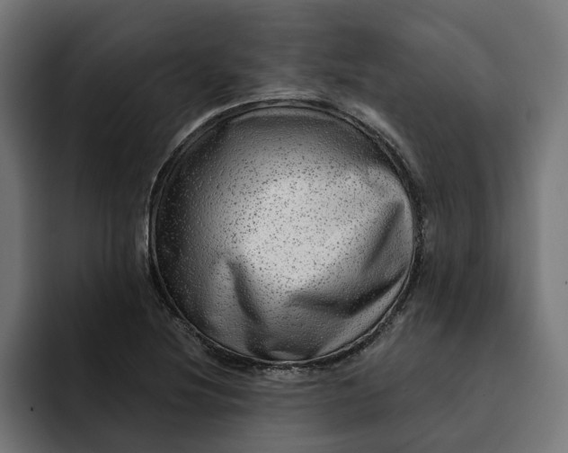 X0000092041220200710031018