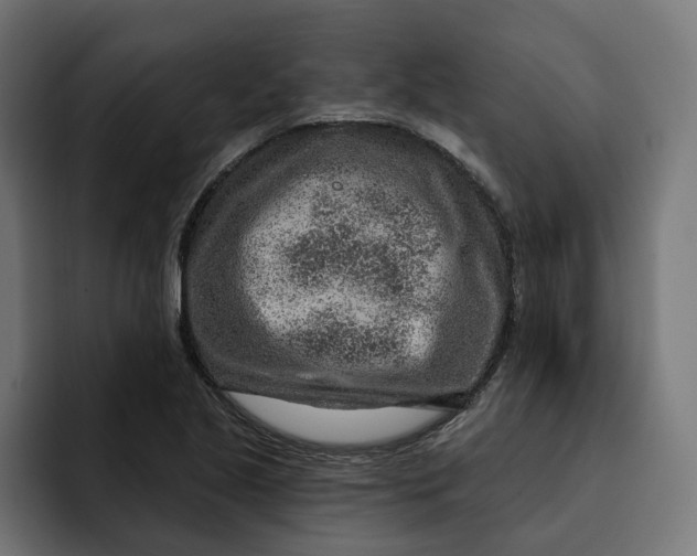 X0000092041221200710031018