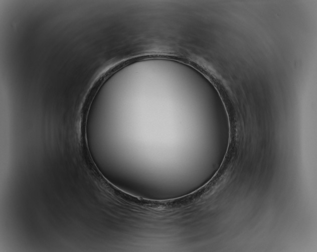 X0000092041222200710031019