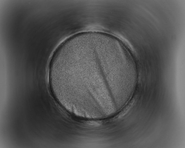 X0000092041224200710031019