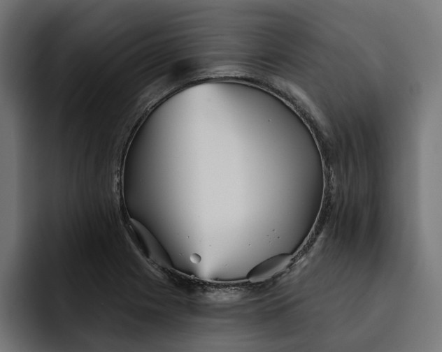 X0000092041225200710031019