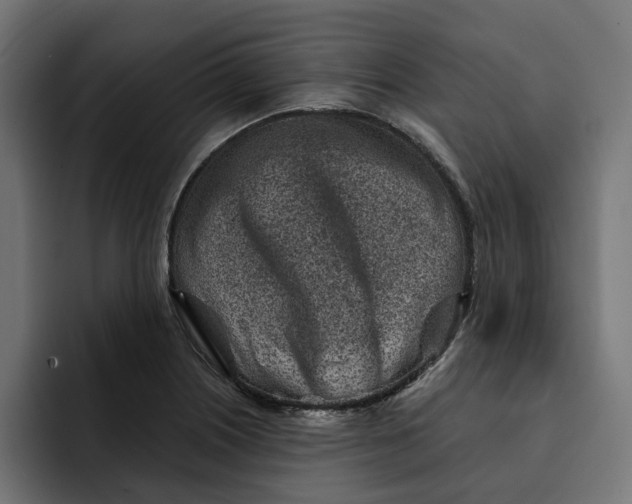 X0000092041226200710031019