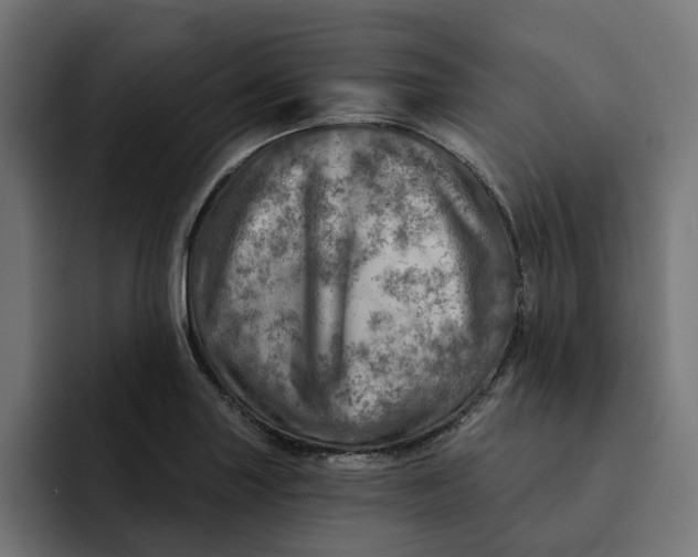 X0000092041227200710031019