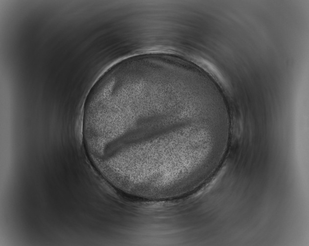 X0000092041228200710031019