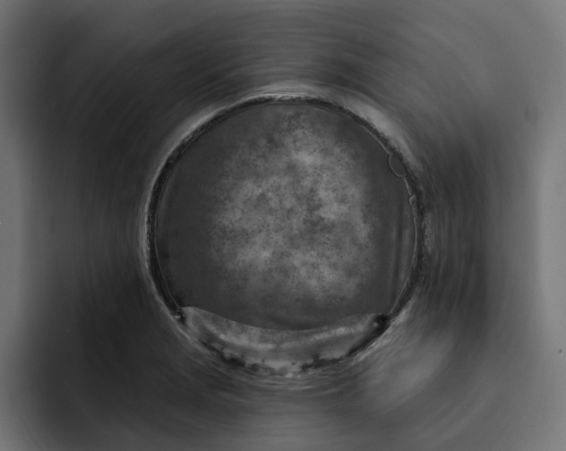 X0000092041229200710031019