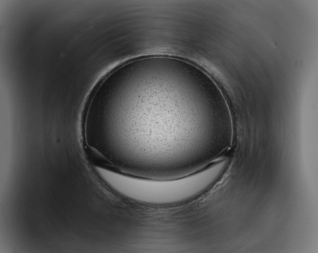 X0000092041230200710031019