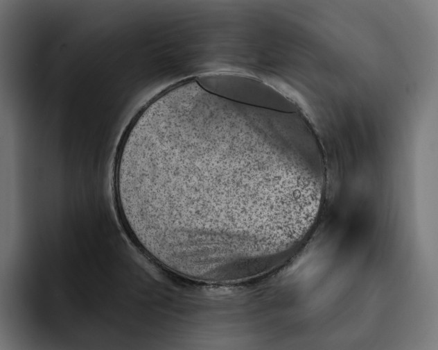 X0000092041231200710031019