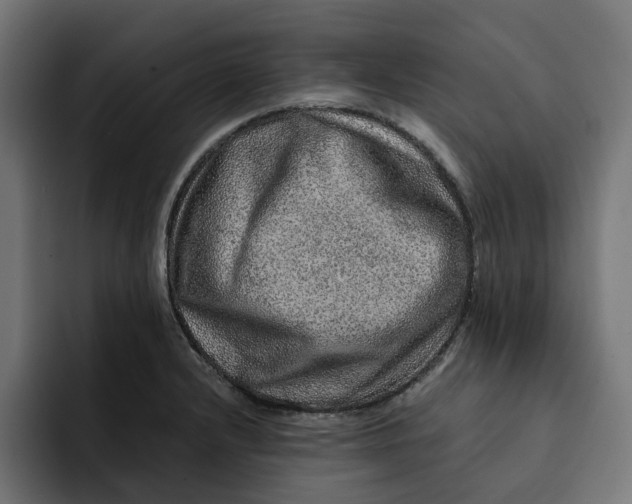 X0000092041232200710031019