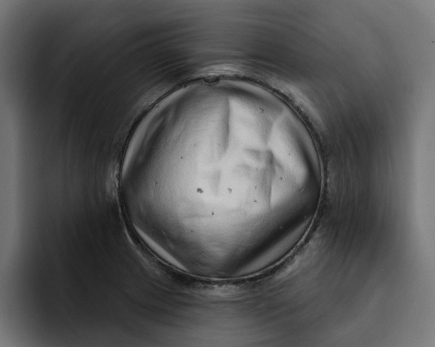 X0000092041233200710031019