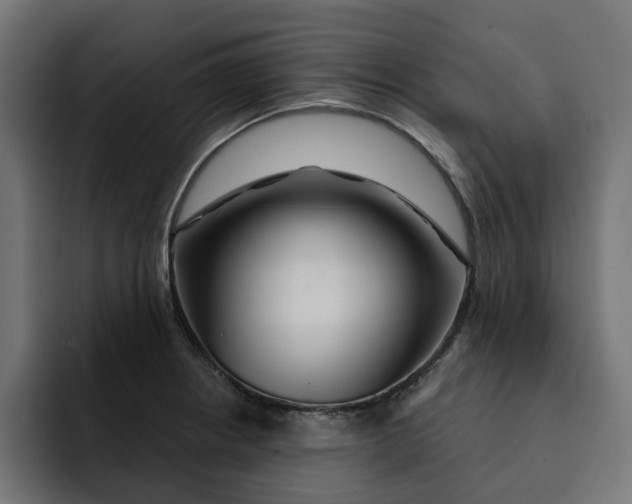 X0000092041234200710031019