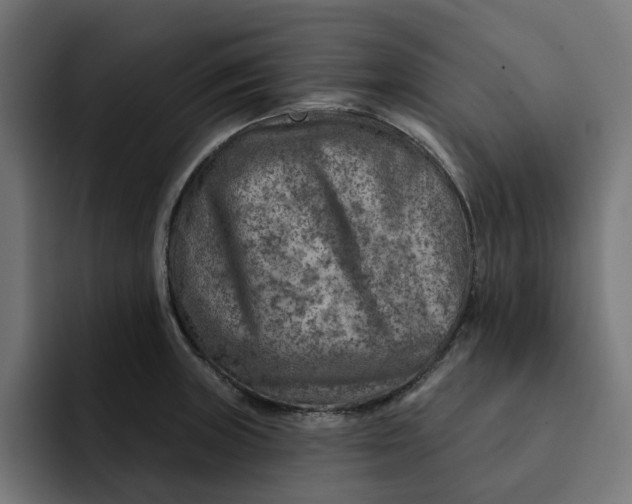 X0000092041235200710031019