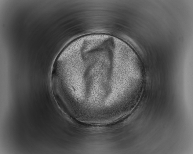 X0000092041236200710031019