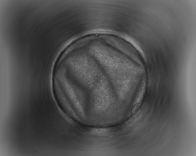 X0000092041237200710031019