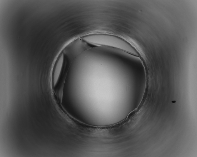 X0000092041238200710031019