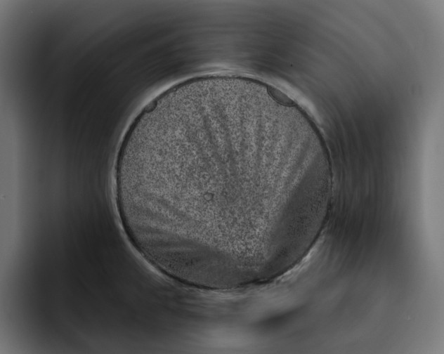 X0000092041239200710031019